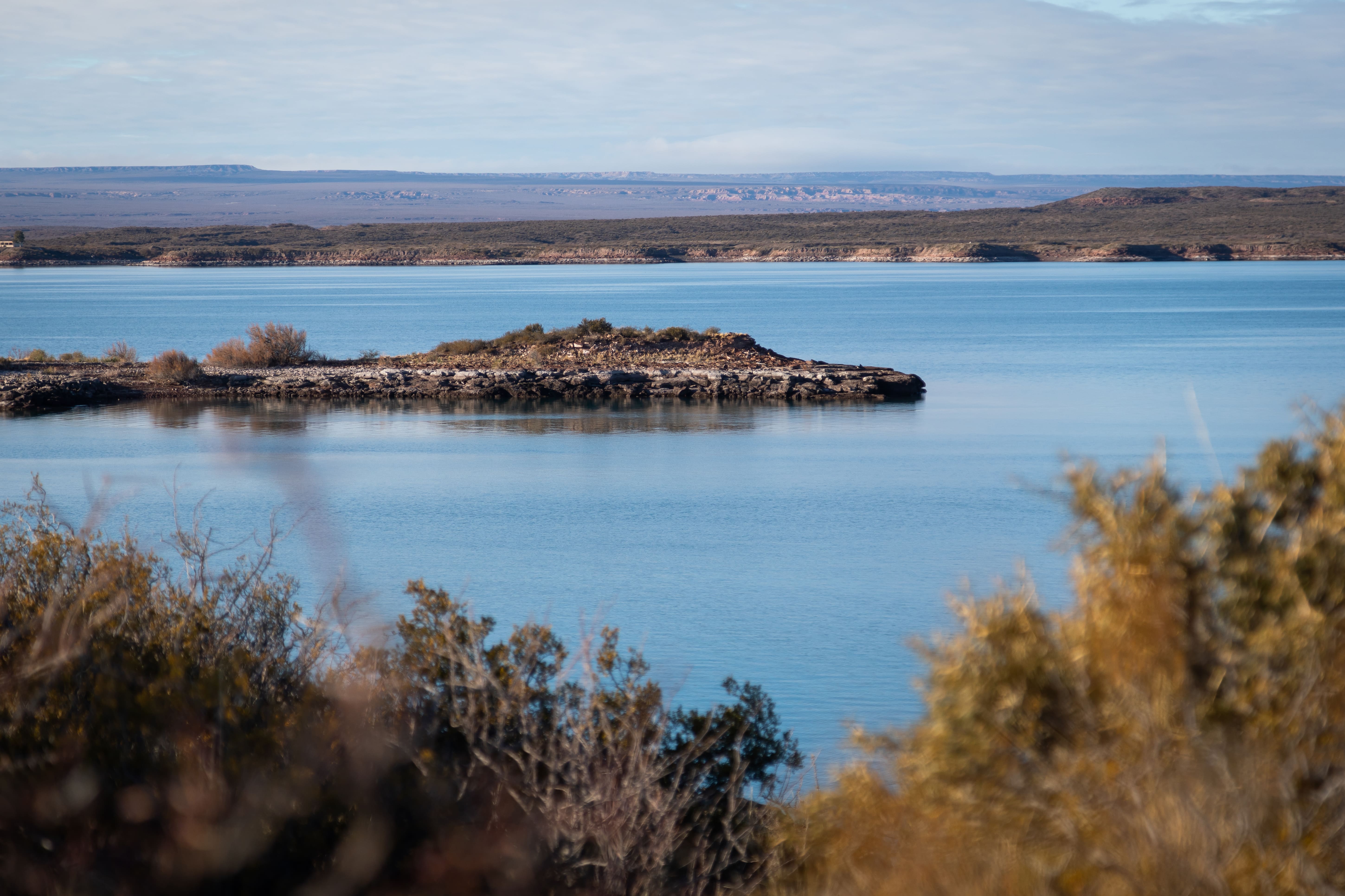 Mirador-de-Aves 11
